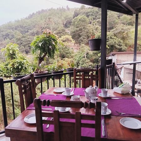 Kandy Ivy Mountain View Resort Kültér fotó