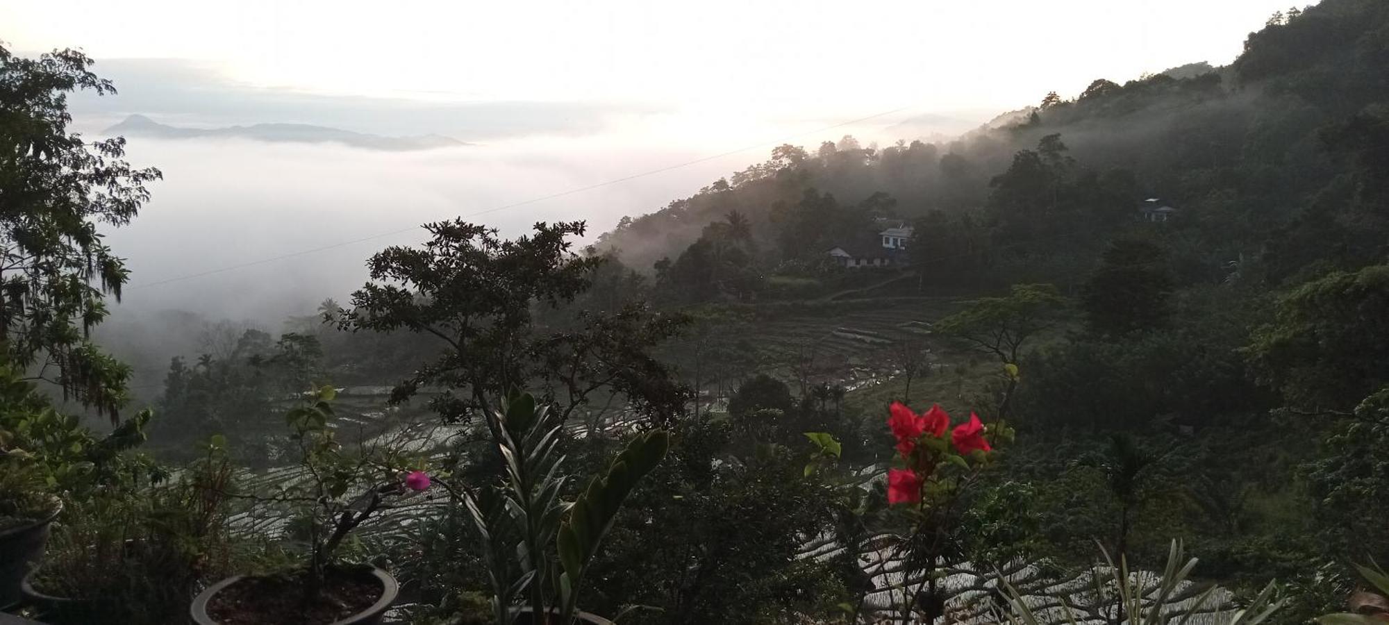 Kandy Ivy Mountain View Resort Szoba fotó