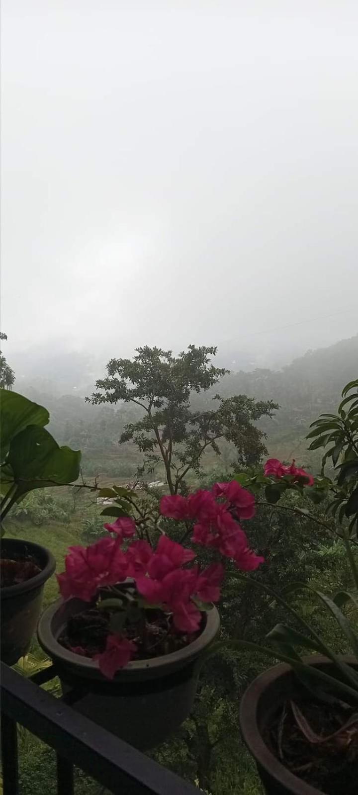 Kandy Ivy Mountain View Resort Kültér fotó