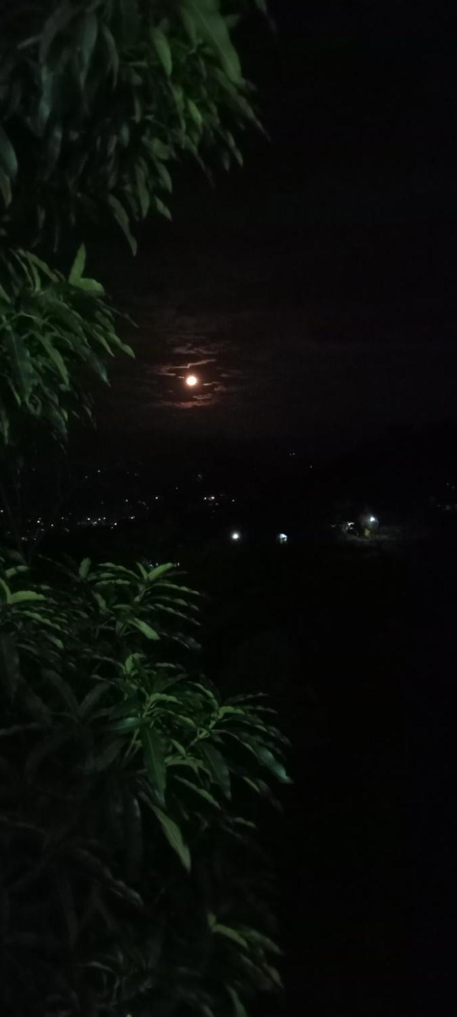 Kandy Ivy Mountain View Resort Szoba fotó